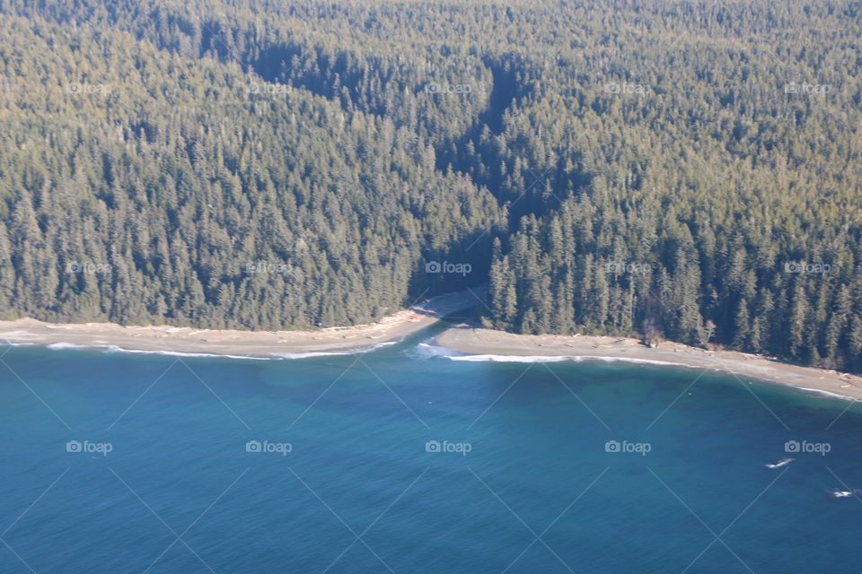 Blue ocean , sandy beach and inlets going through the dense woods - the beautiful west coast 