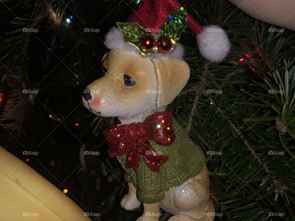 Holiday ornament on a Christmas tree