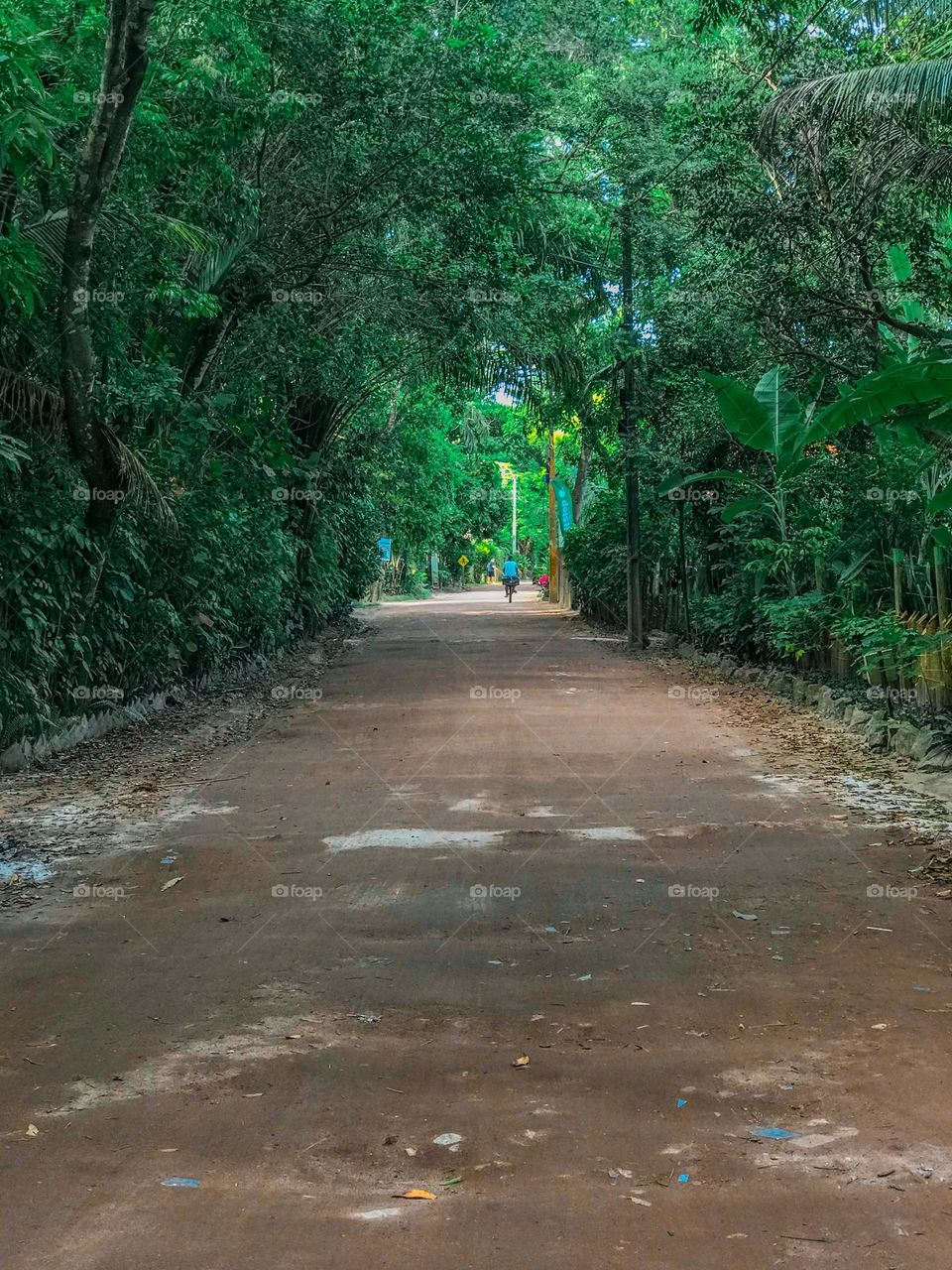 Road surrounded by trees on both sides that goes towards paradisiacal beaches in Cumuruxatiba Bahia Brazil
