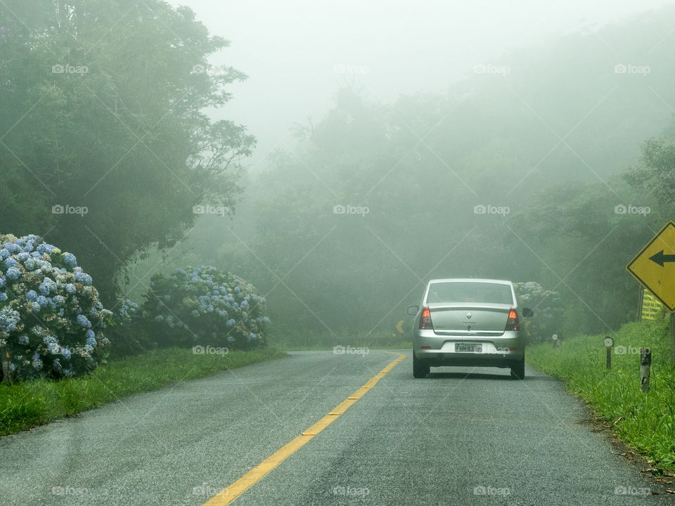 Estrada Graciosa