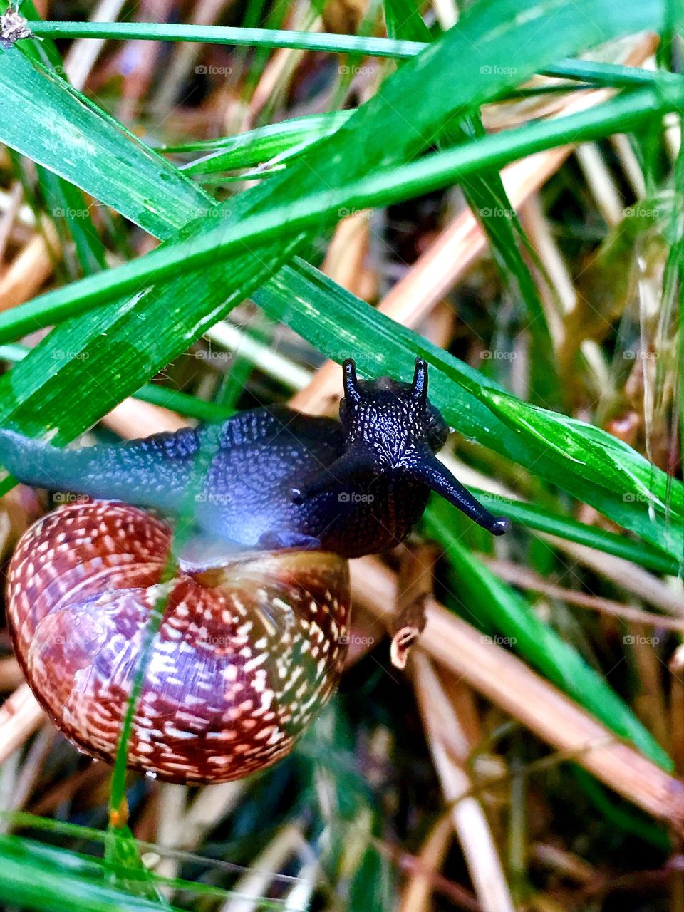 Captured with iPhone 6s Plus 