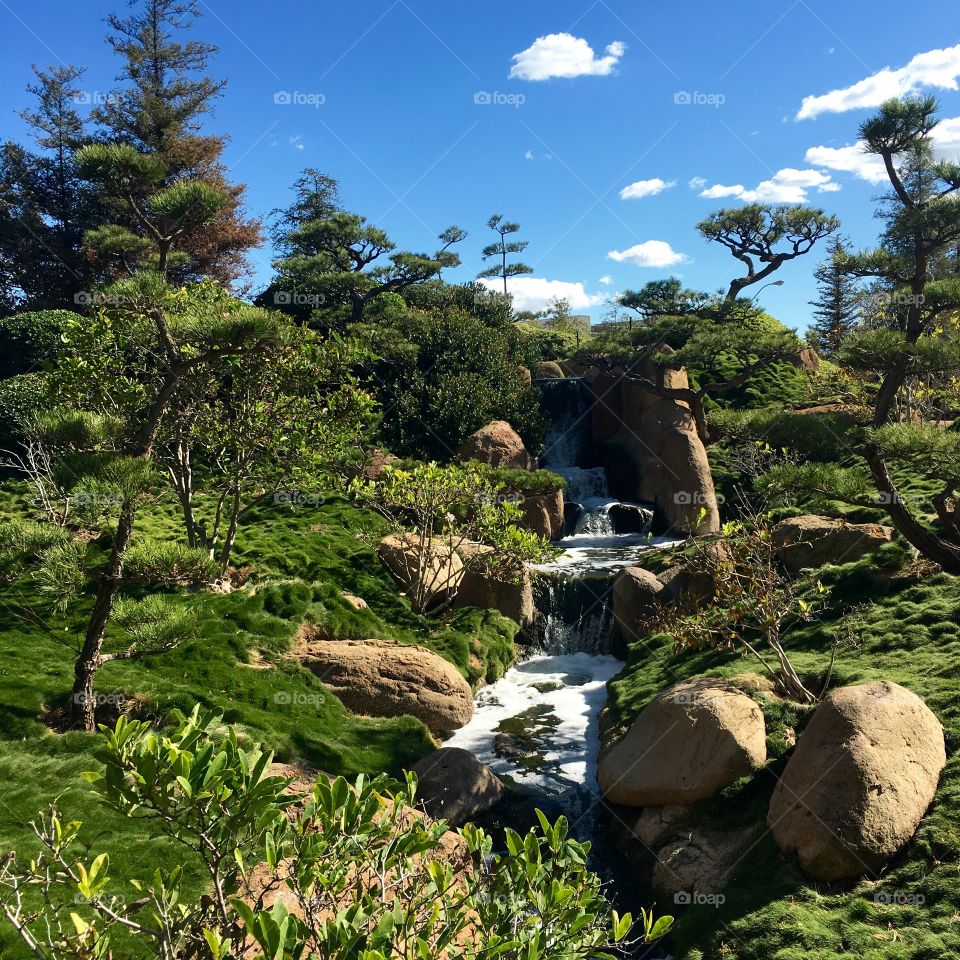 Japanese garden stream 