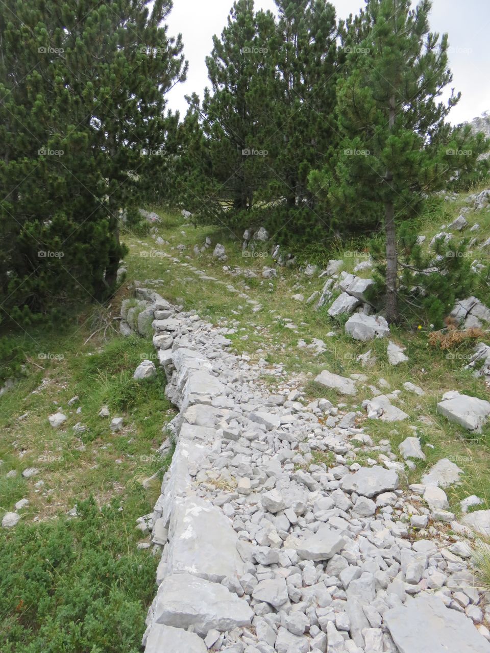 Mountain Orjen Montenegro remains of an old hiking trail