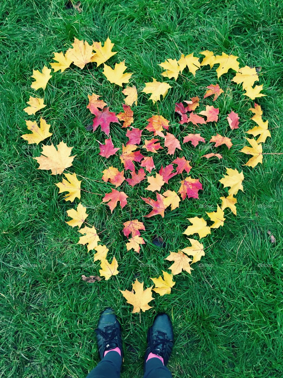 Autumn love. Heart made of leaves
