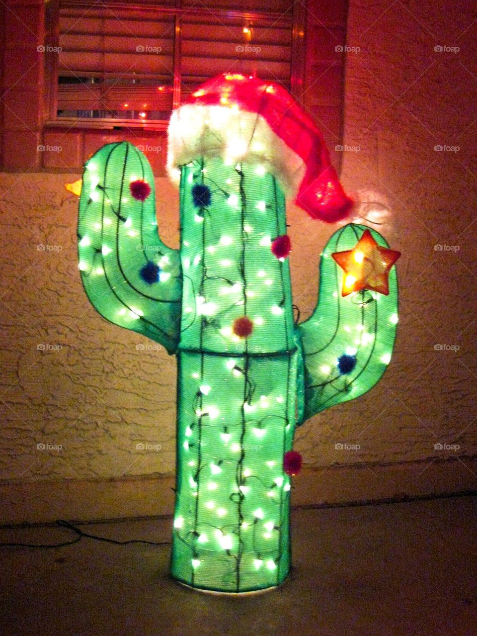 Christmas in the desert