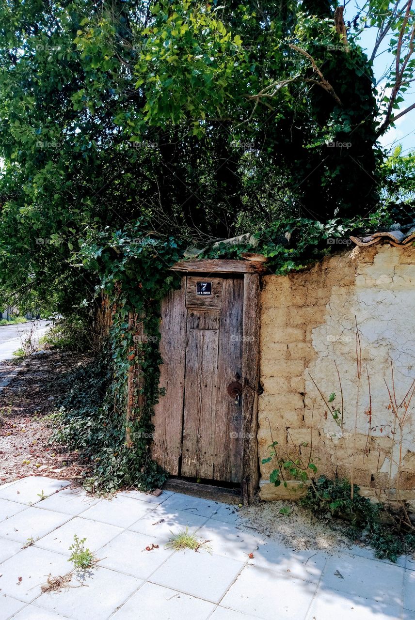 Old house door