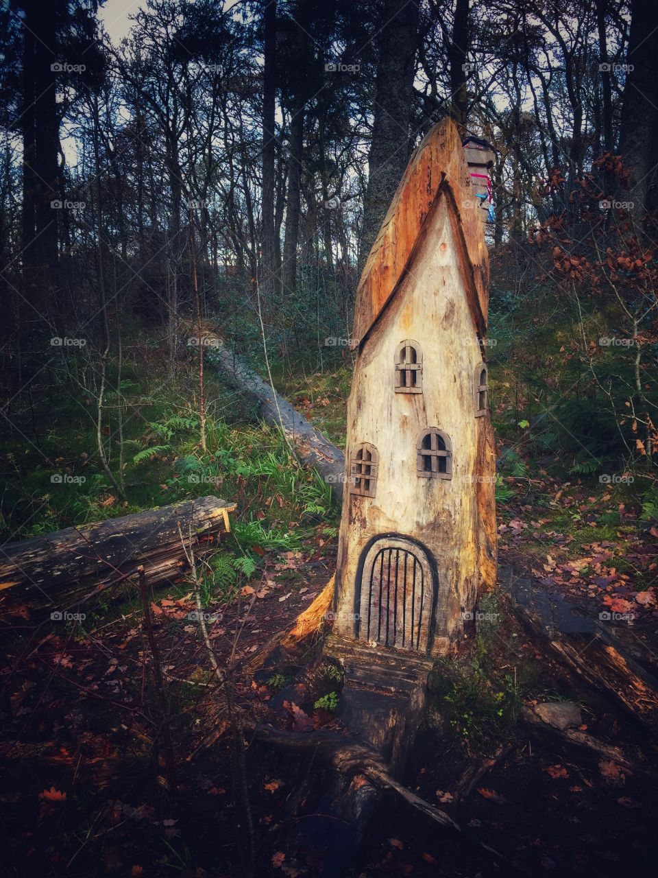 A fairy house in the forest. 