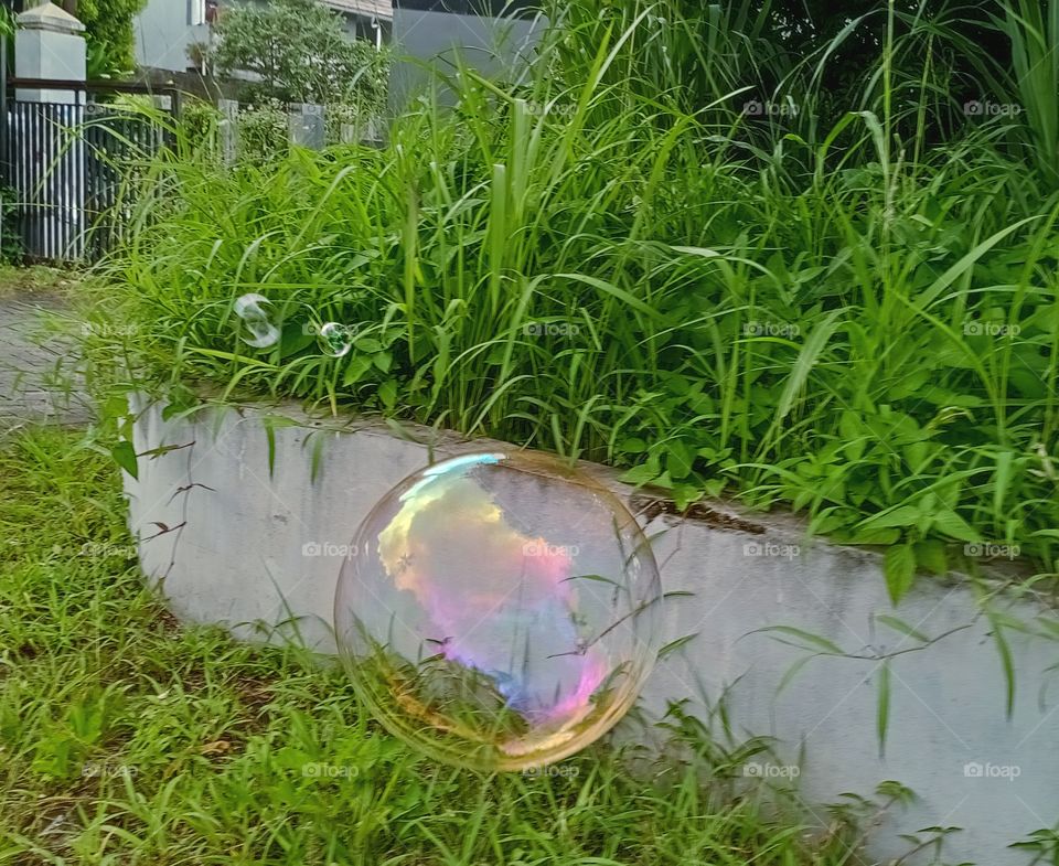 Bubble, concrete fence and weeds...