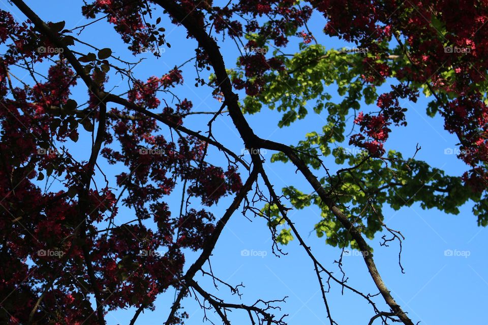 Spring Colors
Sunny Warm Day