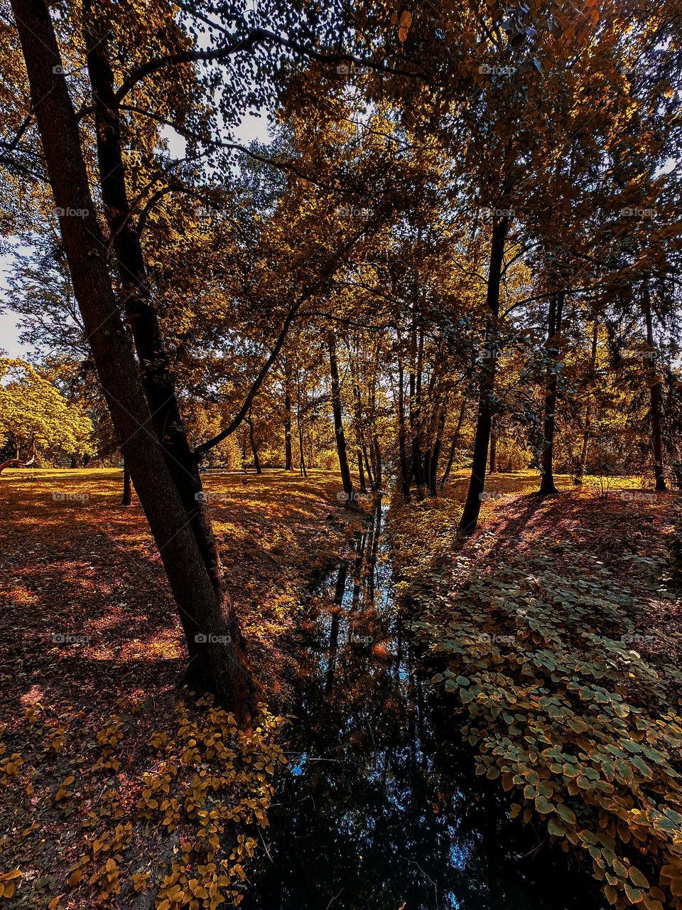 Autumn lights and colors 