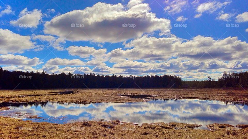 Clouds reflecting on the pond