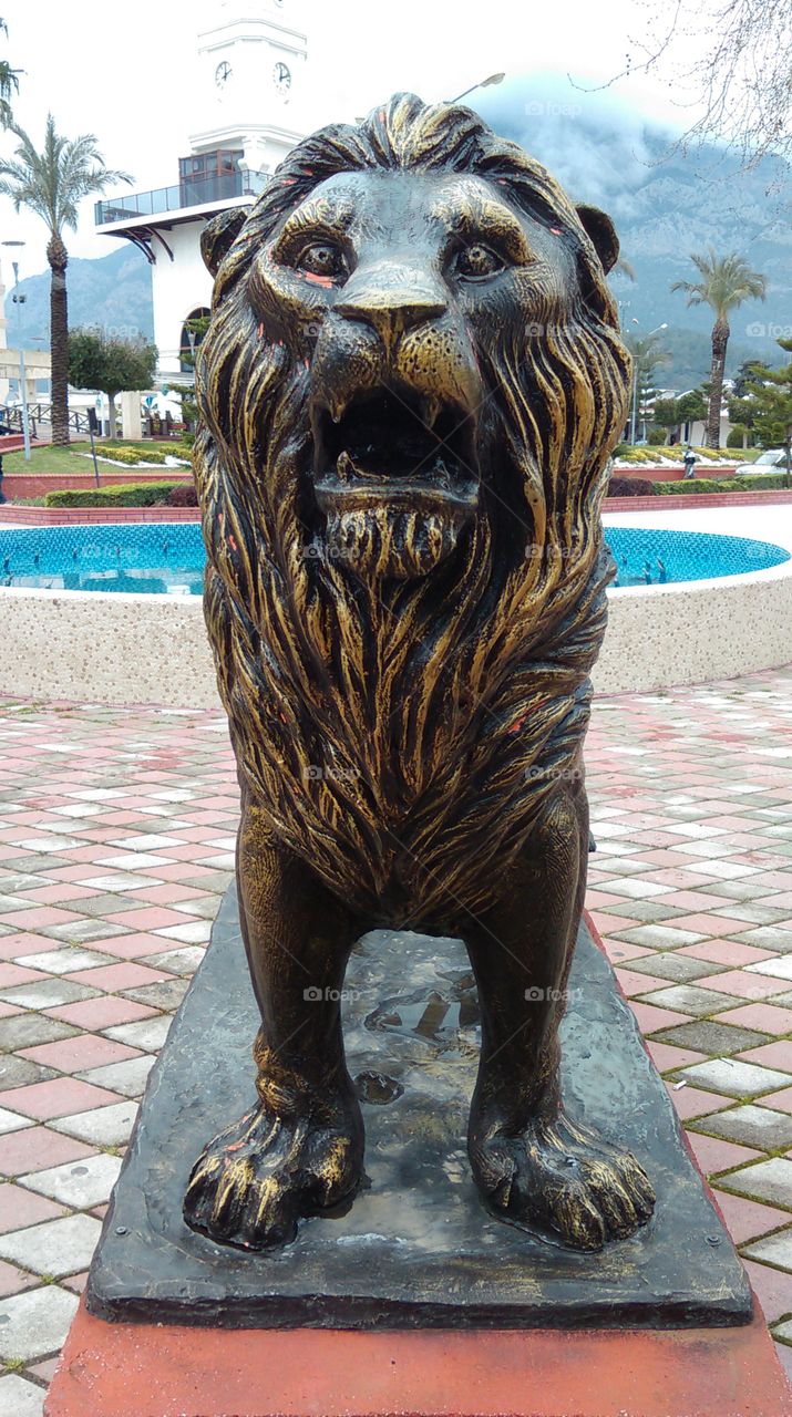 Lion