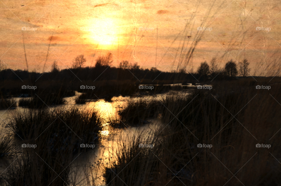 nature sunset horizon heather by ibphotography