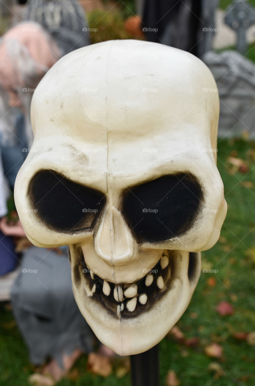 Halloween skull decoration