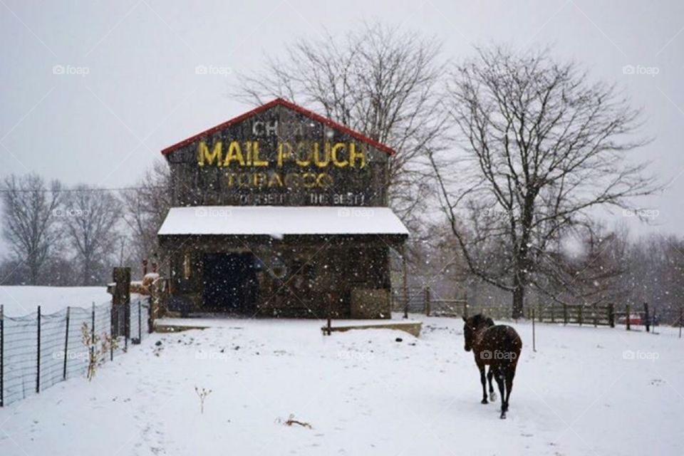 Mailpouch 