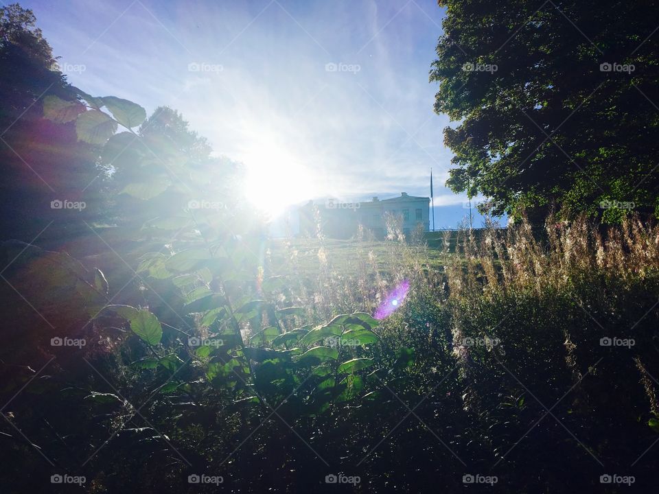 No Person, Water, Dawn, Landscape, Fog