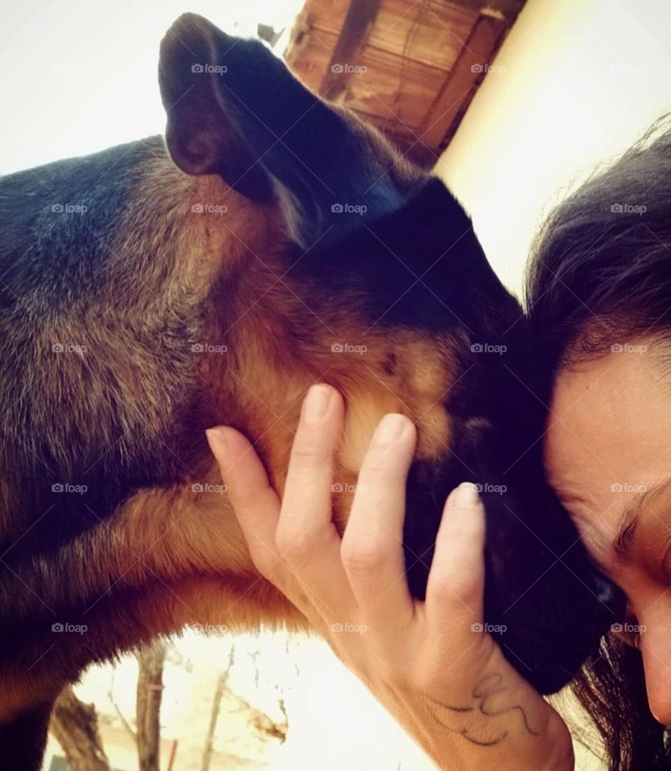 The dog is the most adorable pet, it brings with it the greatest amount of love and affection that we can have!