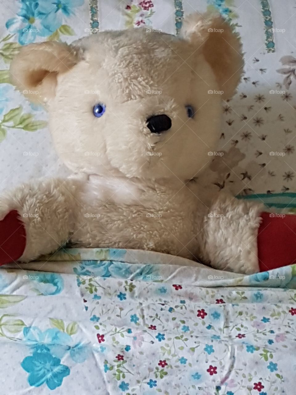 Ted in a Bed