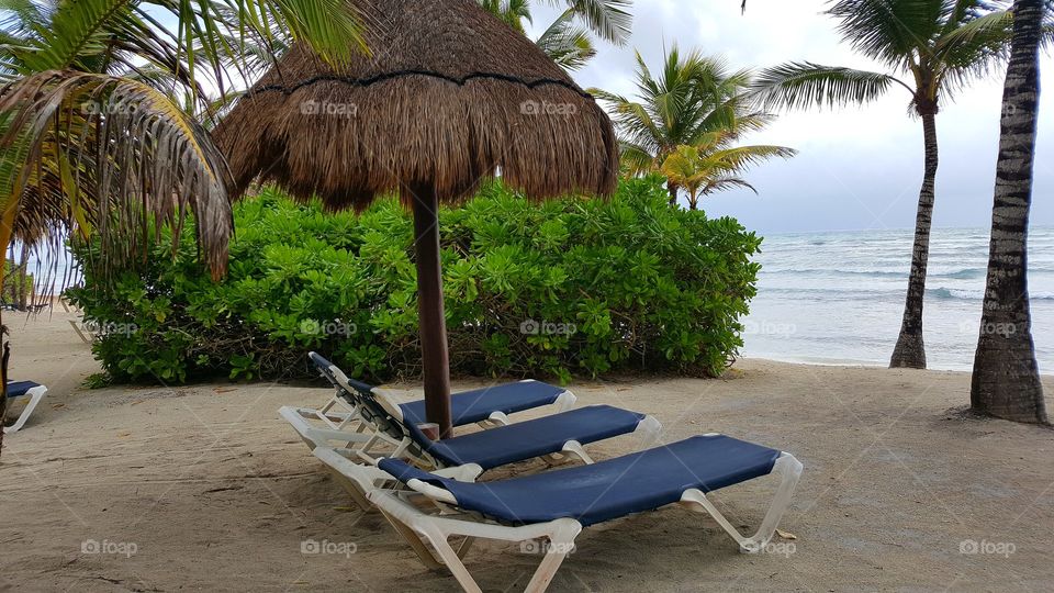 beach chairs and  hay umbrella