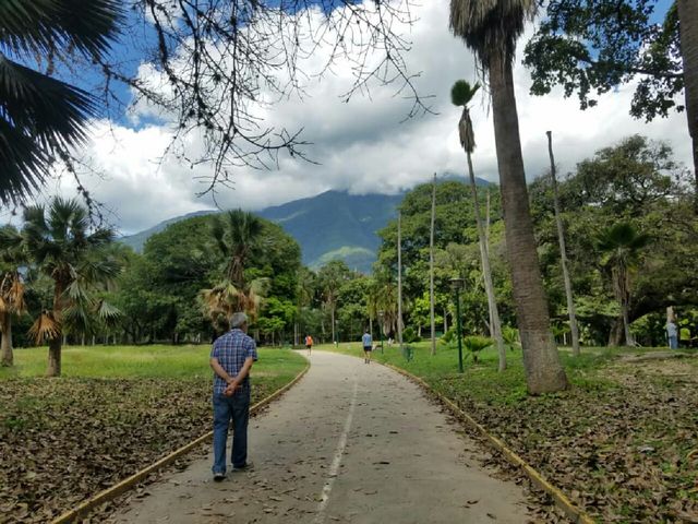 Caminata por Parque del Este. Caracas.
