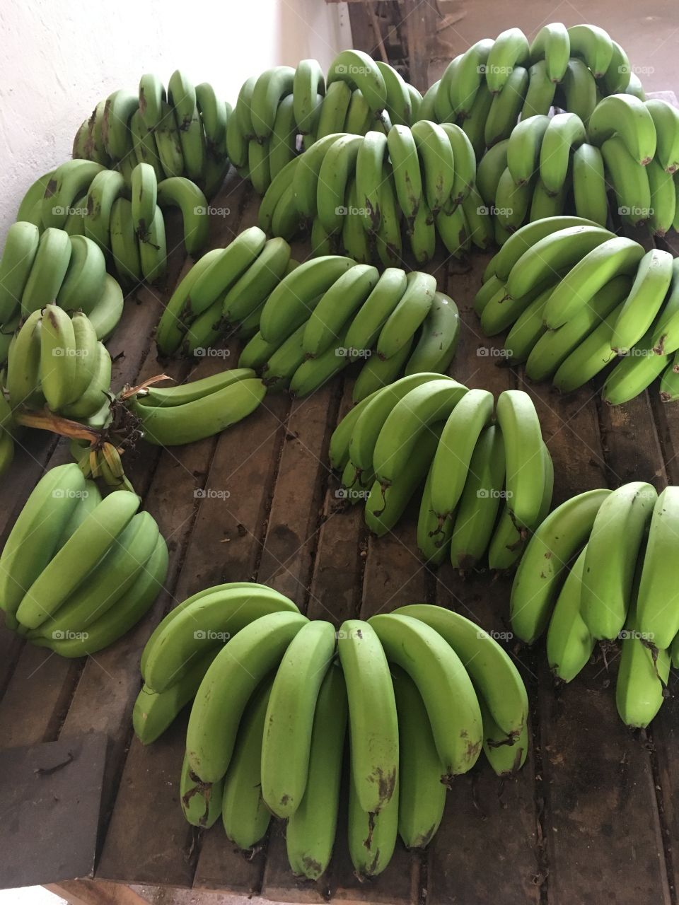 De uma única bananeira da minha Vó Maria, de um único cacho, colheu-se (olha só) quantas #bananas!
Produtividade TOTAL. Sem adubos, nem artimanhas.
🍌 
#natureza #fotografia #colheita 