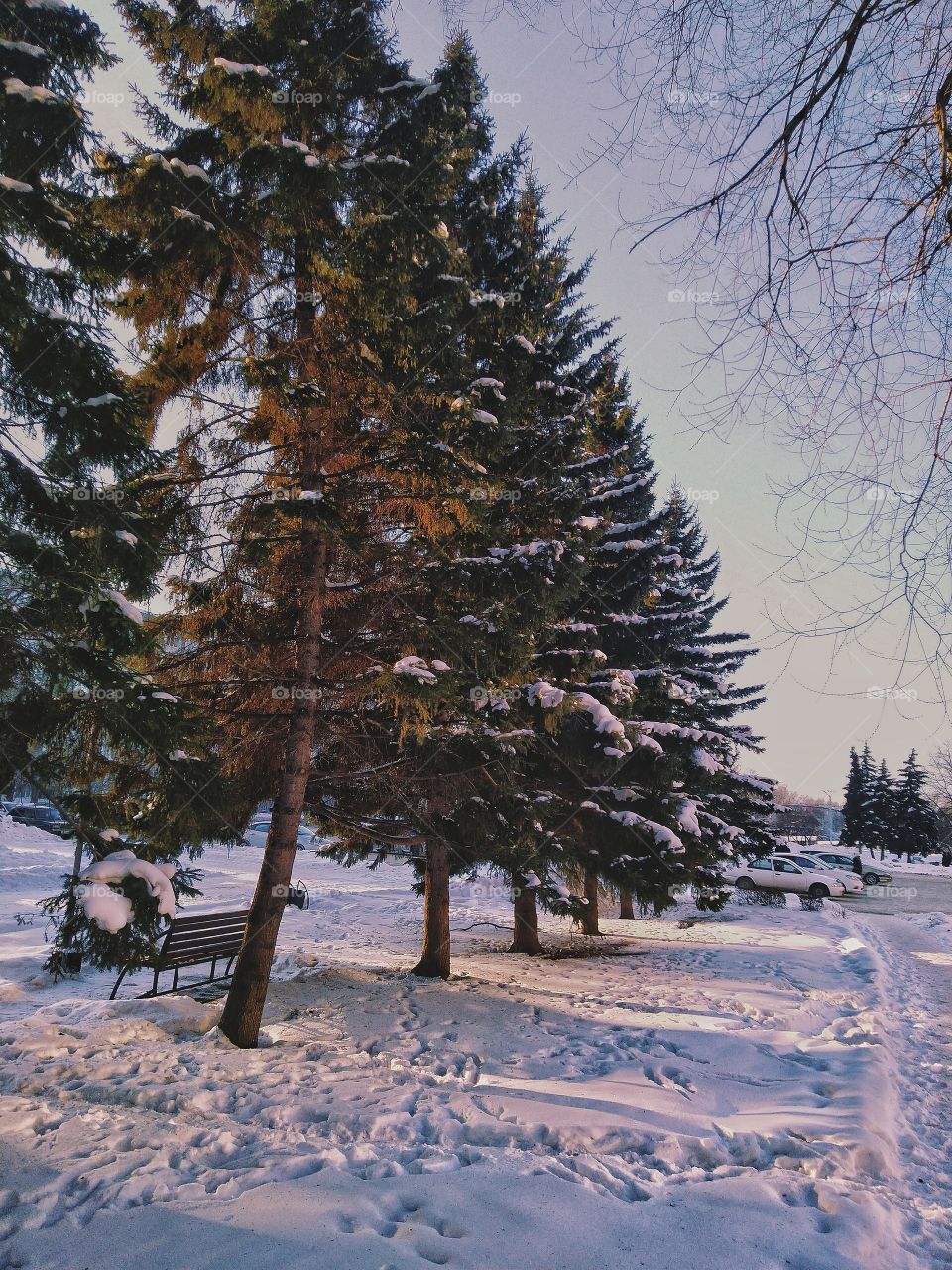 Nature. Siberia. Old russian town. Byisk