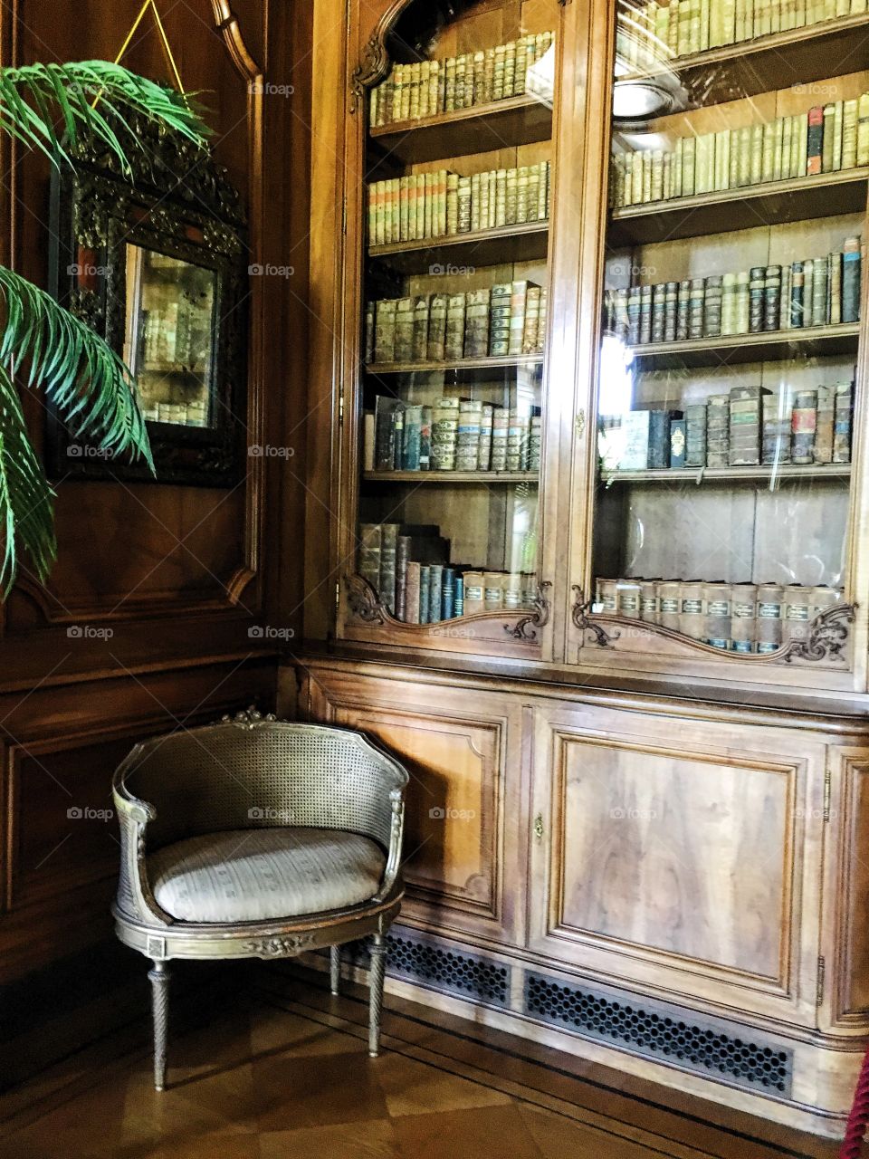 Library in Pless Castle in Pszczyna, Poland.