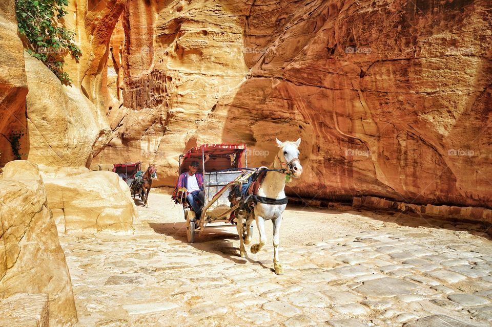 Chariot in the street of Petra in Jordan