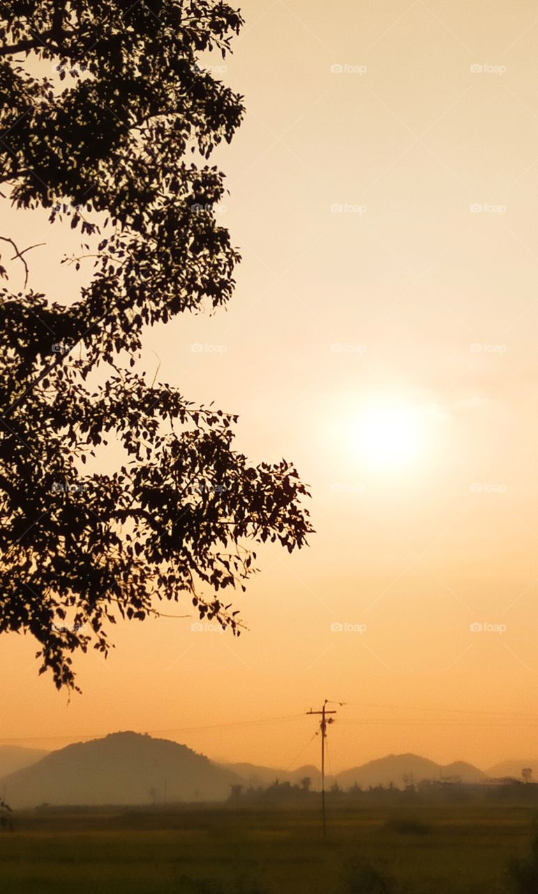 Bright Orange dusk looking great