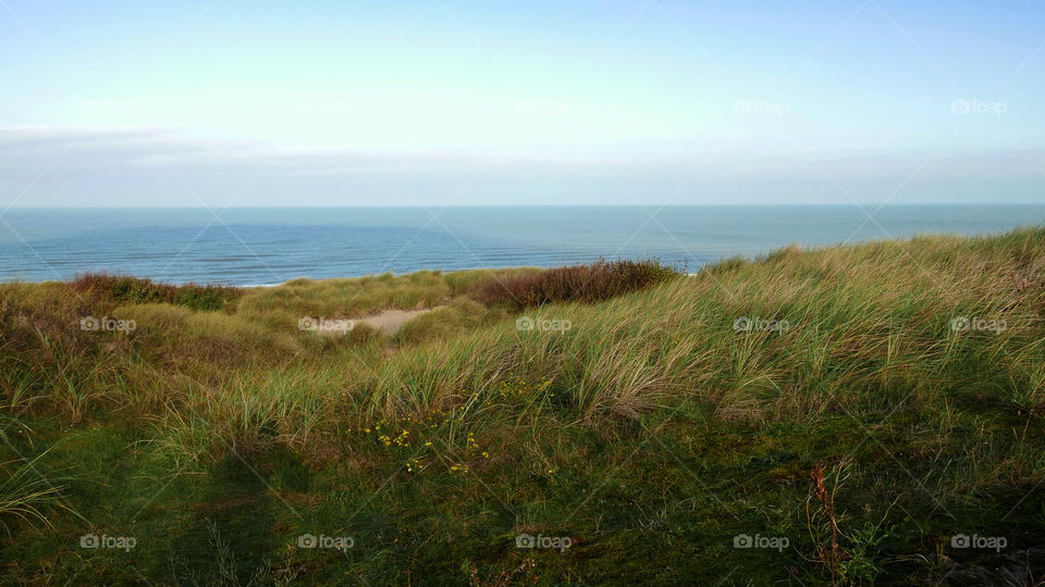 Dunes and the sea in Belgium.