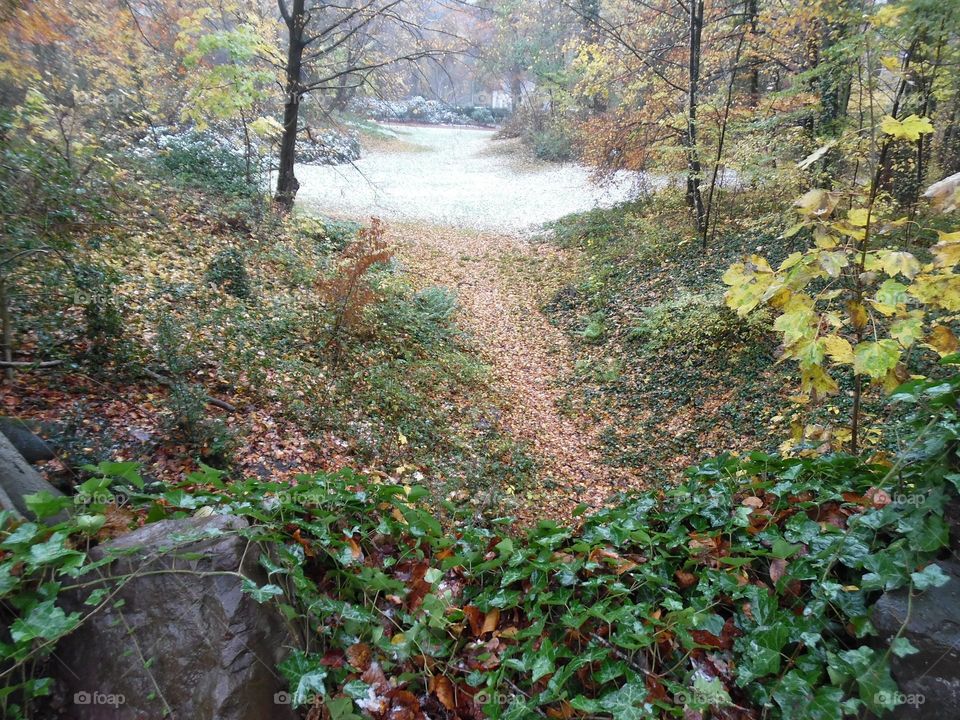 Parc de Mariemont , la Louvière