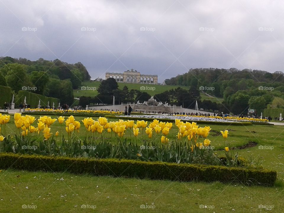 The power of urban gardens in Schönbrunn