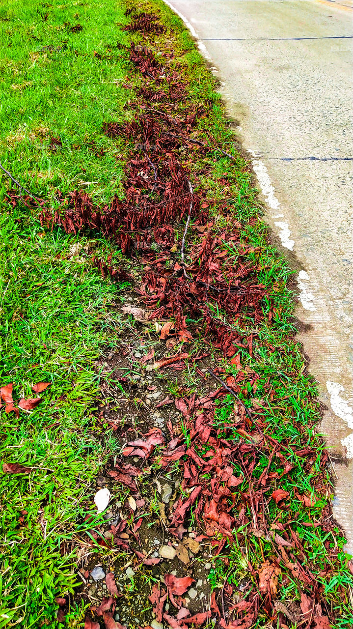 so much love to see it!