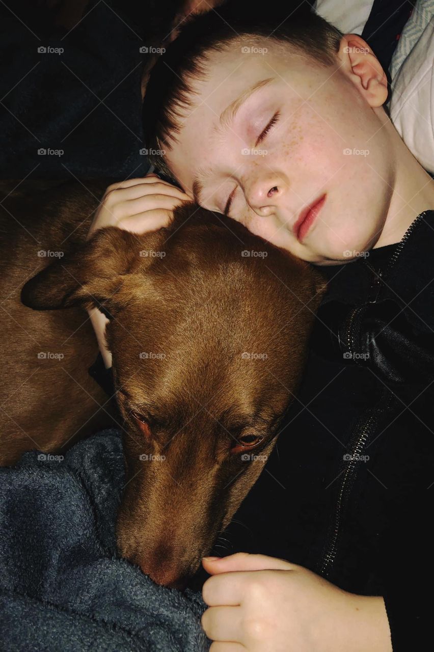 A Boy and His Dog