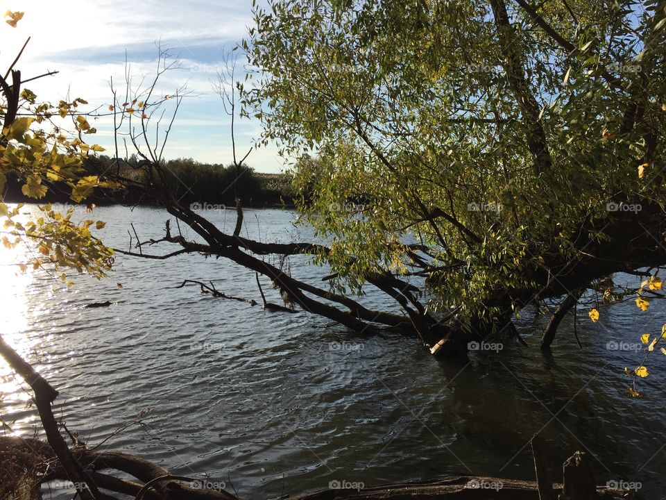 golden autumn crept quietly and quietly. now she is the mistress in the forest, on the river, and in the city.