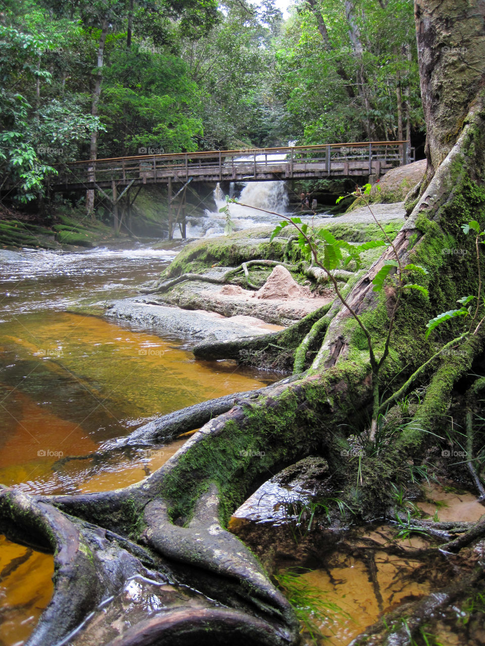 Amazon jungle waterfalls. Brazil 