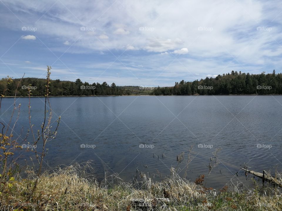 Graceful and elegant scenery