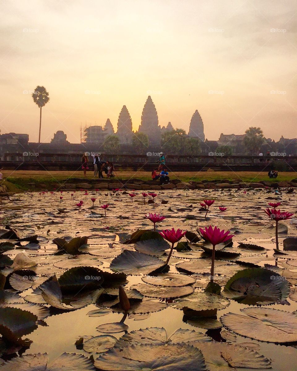 sunrise in ankor wat