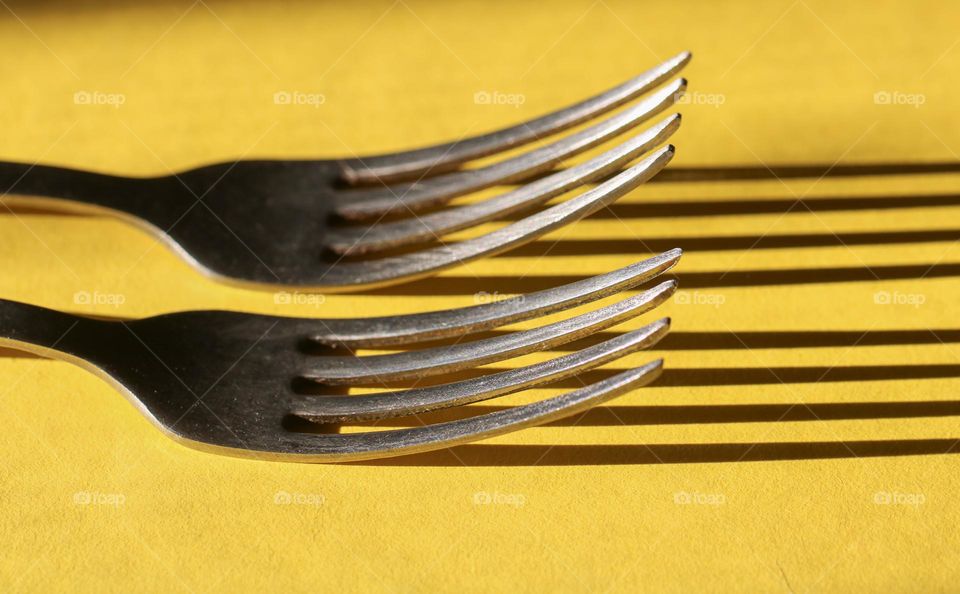 Forks