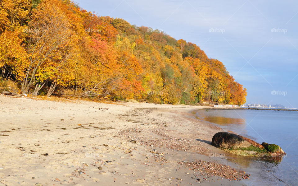 Autumn beach view 