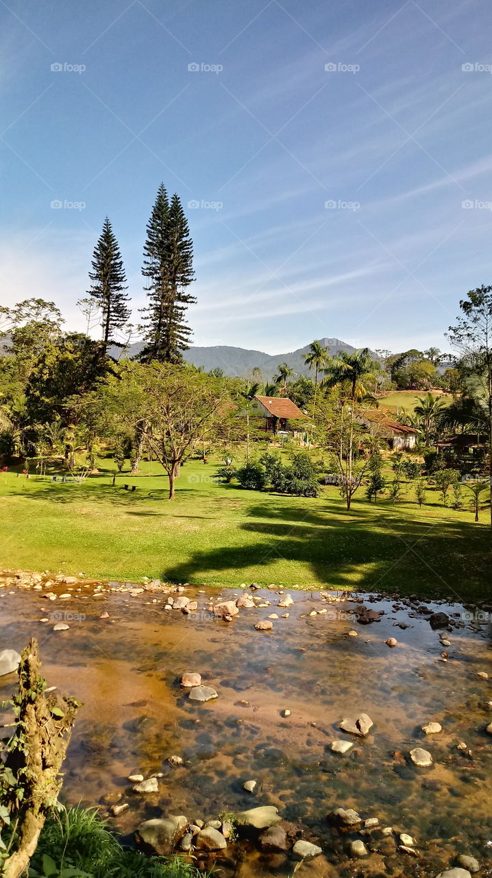 NATURE NATURAL BEAUTY