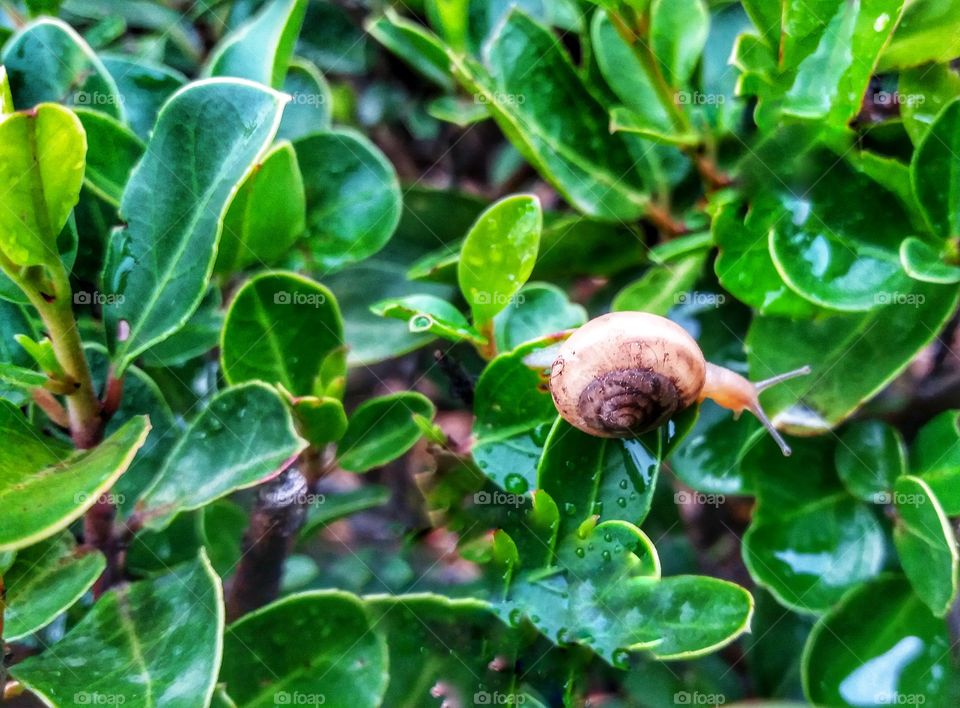 When the rain comes...