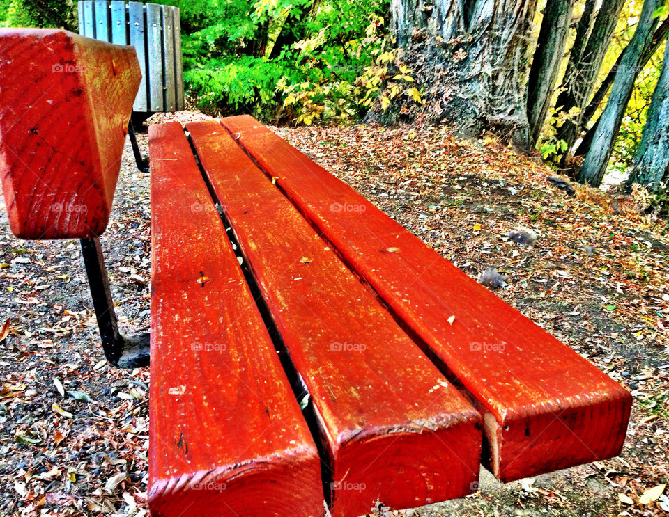 nature park clear fall by quick711