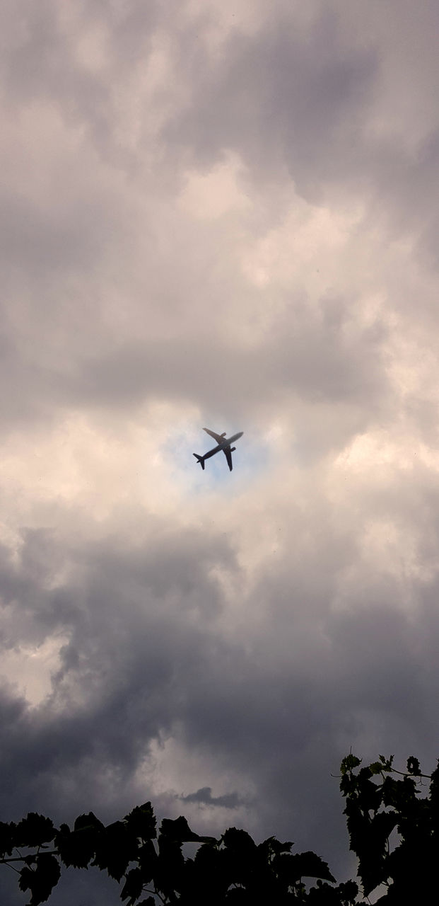 Airplane in the Sky
