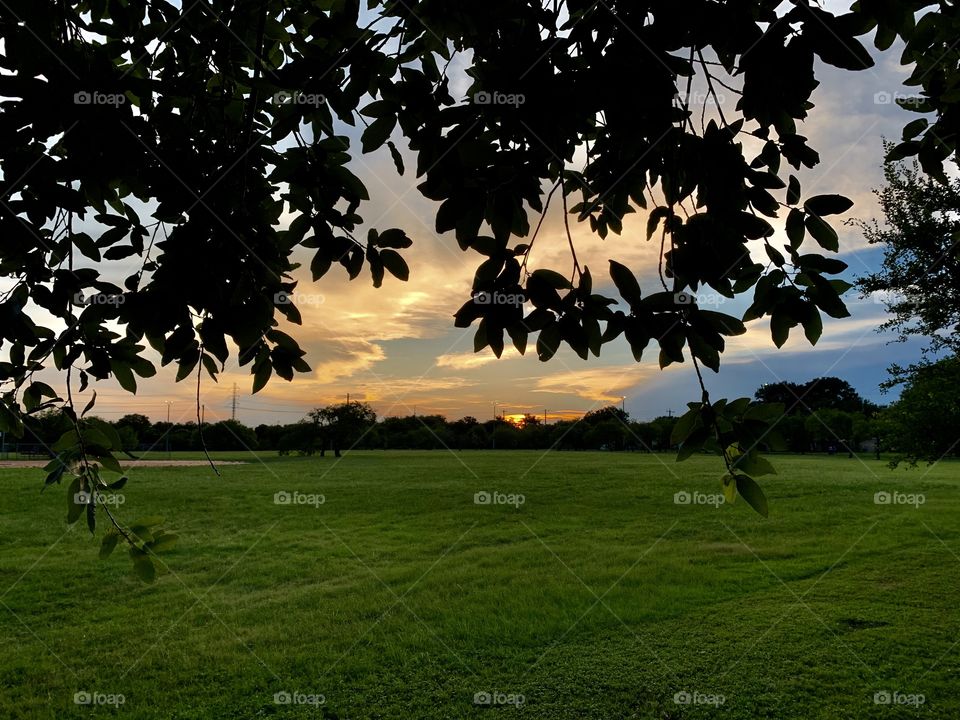 Sunrises sunsets and the moon