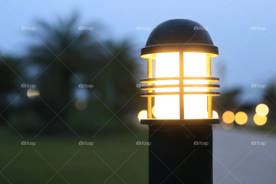 Lighting in the park