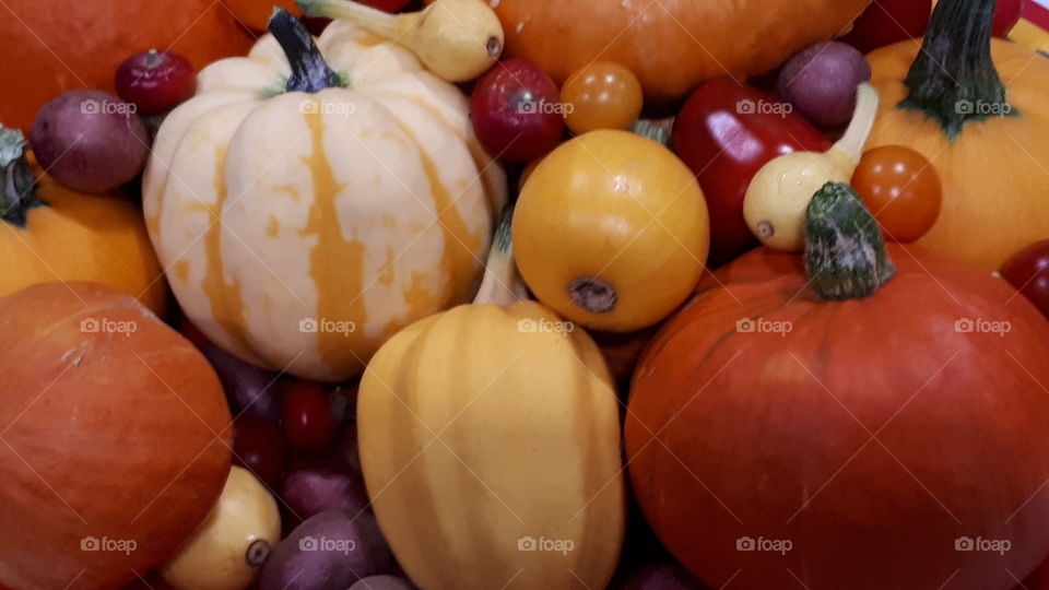 different pumpkins
