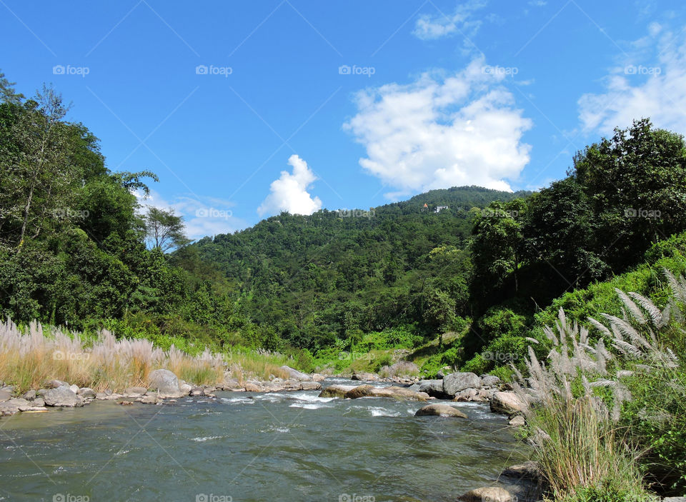 flowing river