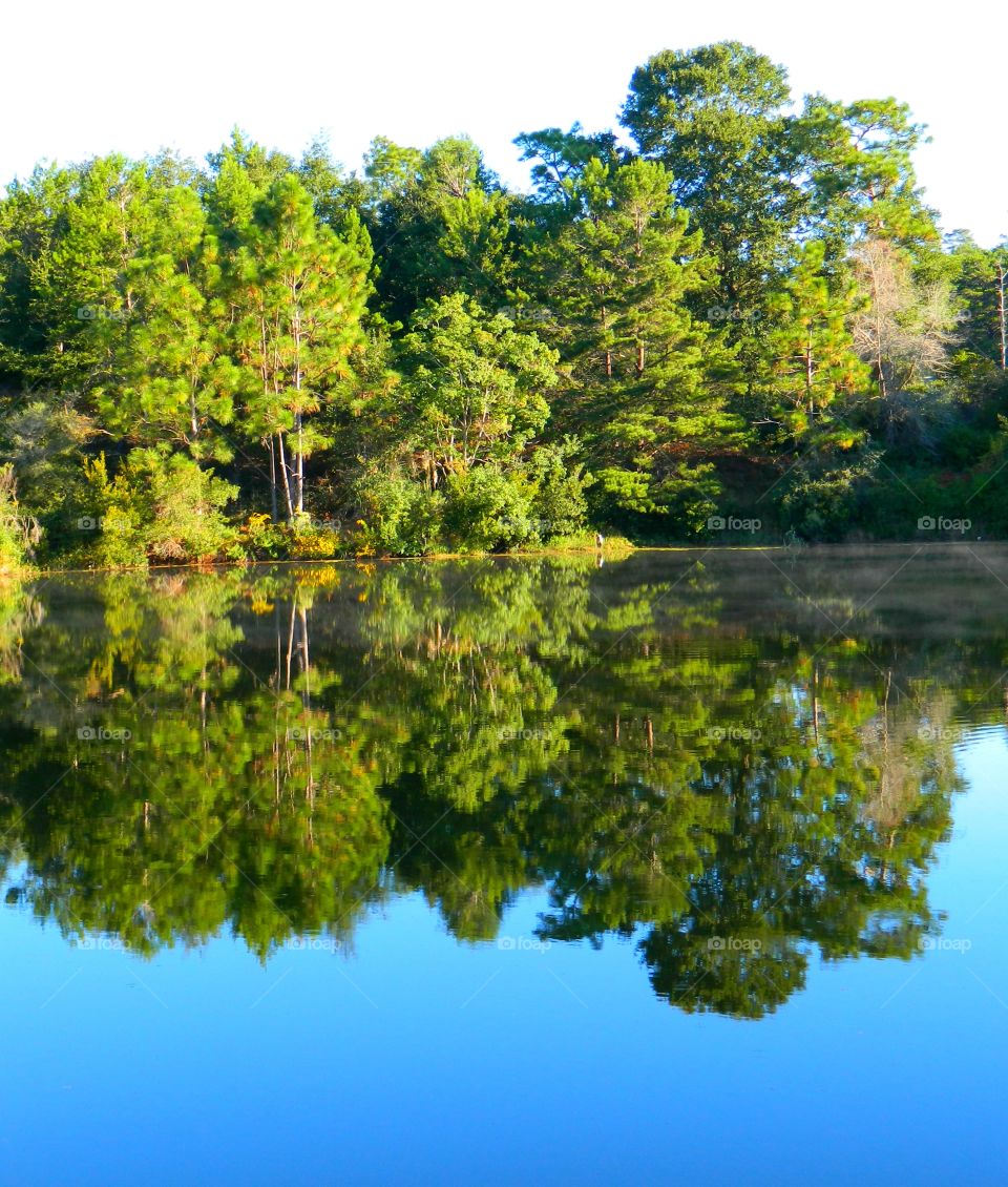 Incredible Autumn and Rainy day Reflections depict how beautiful and colorful the landscape really is in the fall. 