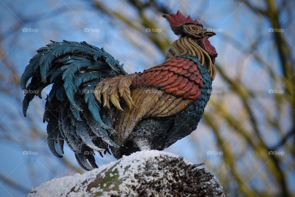 Colored metal rooster